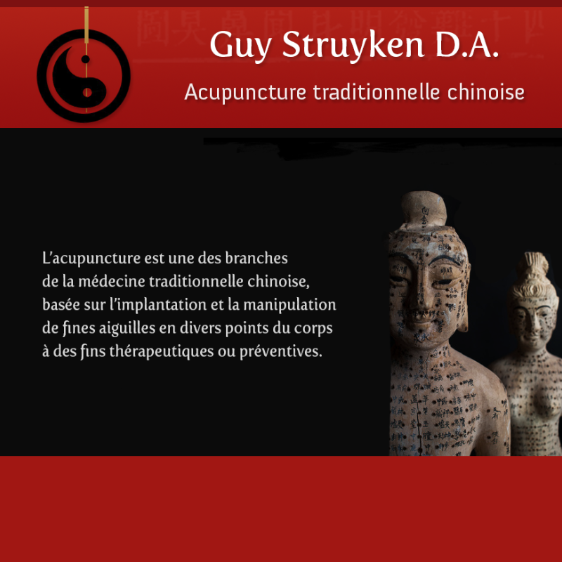 Guy Struyken Acupuncteur Namur